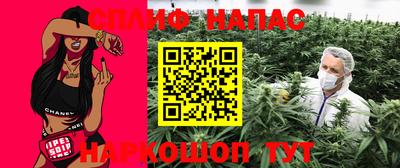 ECSTASY Новодвинск