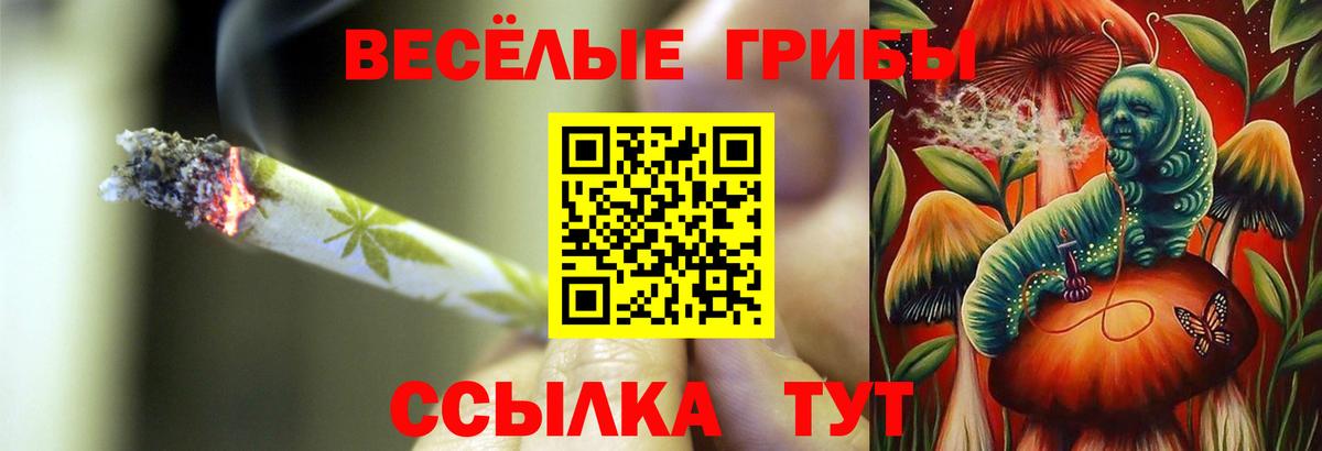 как найти   Галлюциногенные грибы ЛСД  Вход с VPN  Галлюциногенные грибы Cubensis  Ростов Великий 